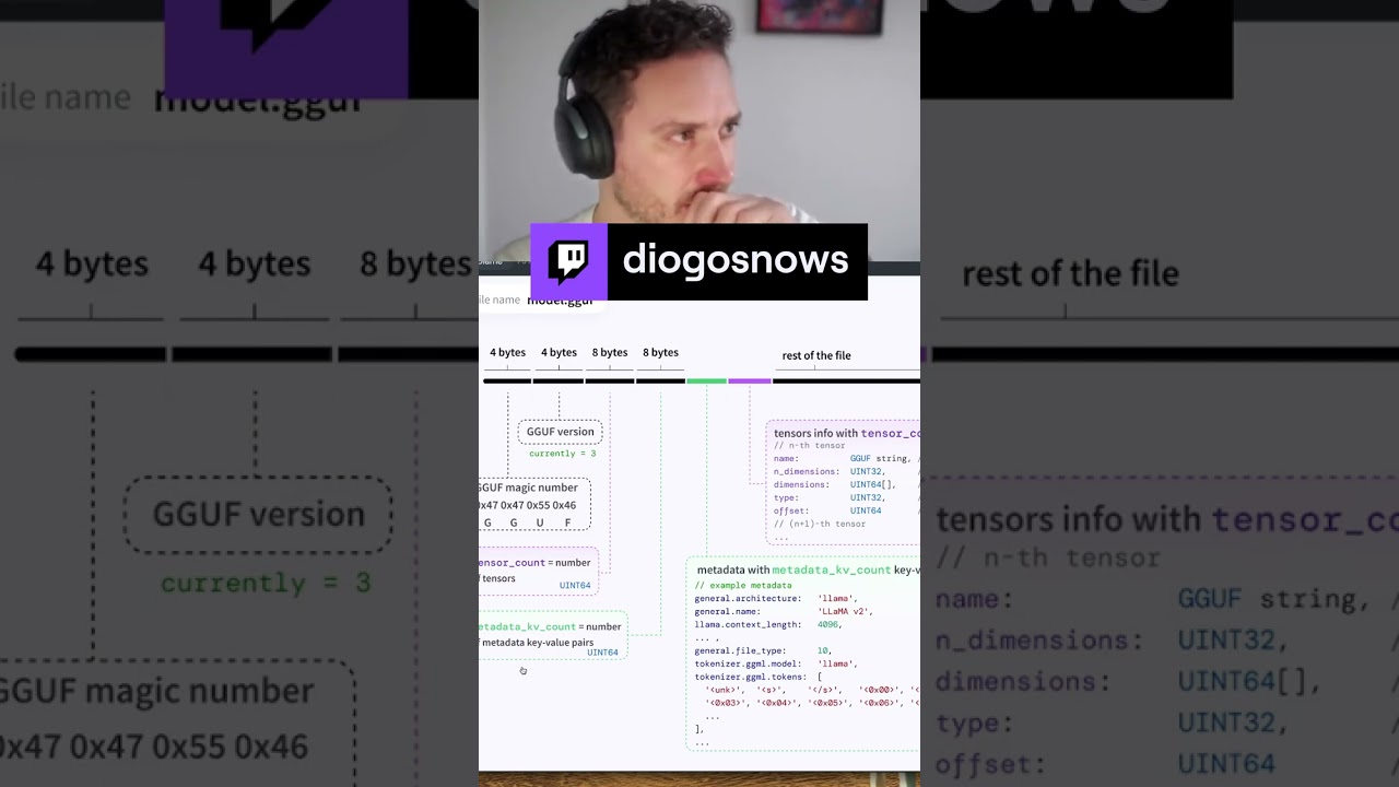 GGUF format structure (great docs!) | diogosnows on #Twitch