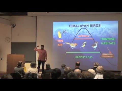 Sahas Barve, Cornell University 3MT 2016