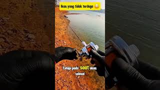 Download lagu IKAN YANG TIDAK TERDUGA! Pria Ini Terkejut!😱#mancingmania mp3