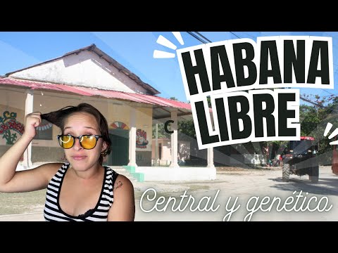 Central Habana Libre y El Genético, Caimito Artemisa , Cuba.