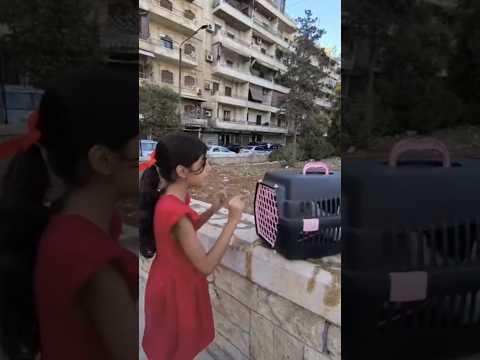 أميرة حبست القطة #أماني_فاميلي #أمورة #فاميلي