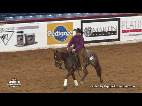 Senor Shiney Cat ridden by Mark A. Sigler  - 2018 C o C (Open Hackamore, FINALS)