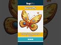 butterfly - an insect with colorful wings... video thumbnail
