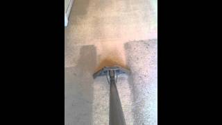 preview picture of video 'Stafford Carpet Cleaning And Upholstery Cleaning SuperCleanCarpets'