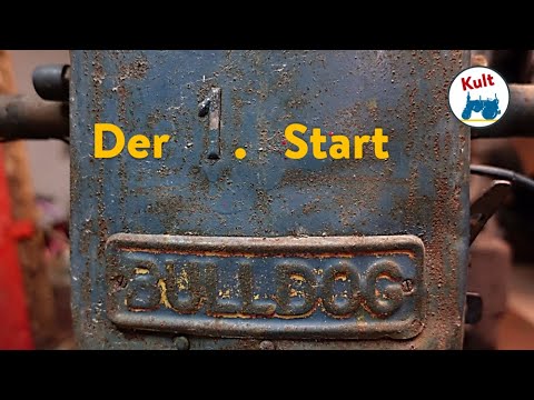 Der Lanz Bulldog Scheunenfund - Gelingt der Start nach über 15 Jahren? First start im(possible)?!