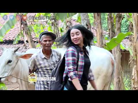 Bikin Kaget! Sapi Pak Ahmad Ngamuk Saat Dimandikan Sila| BEDAH RUMAH EP 146 (1/4)