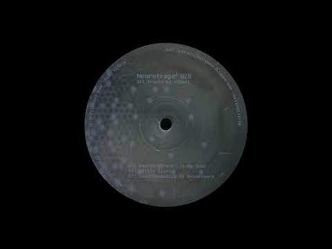 Vikkei – Neurotrope 028