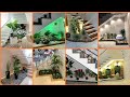 Most trendy under stair plant designs||How to decorate place under stairs||under stairs area decor