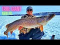 Video Thumbnail for MARCH MADNESS ICE FISHING | 46 INCH MONSTER PIKE