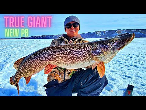 MARCH MADNESS ICE FISHING | 46 INCH MONSTER PIKE