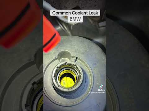 Common Coolant Leak On A BMW  #diyautomaintenance #bmwengine #mechanic #diycarmaintenance #bmw