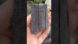 Zkamenělé dřevo jiskřivec 62g