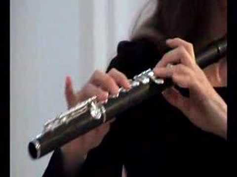 Carmen Fantasy for Flute &  (Karin Leitner)