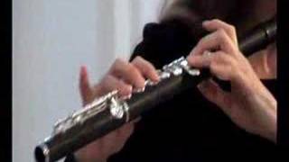 Carmen Fantasy for Flute &  (Karin Leitner)