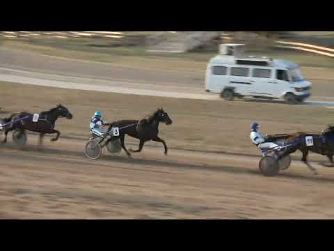 2022.03.26. 07. futam - 2022. ÉVI KINCSEM PARK KUPA II. FUTAMA HENDIKEP