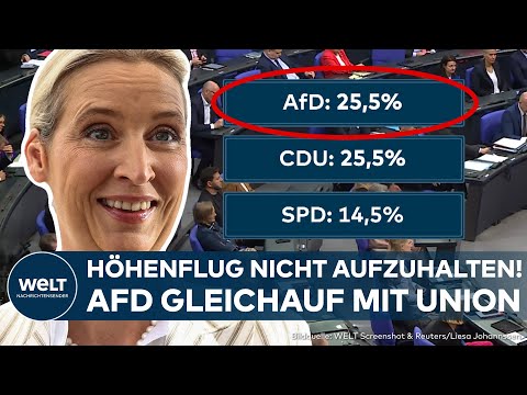 DEUTSCHLAND: AfD erreicht neuen Höchstwert! Höhenflug laut Insa-Umfrage nicht aufzuhalten!