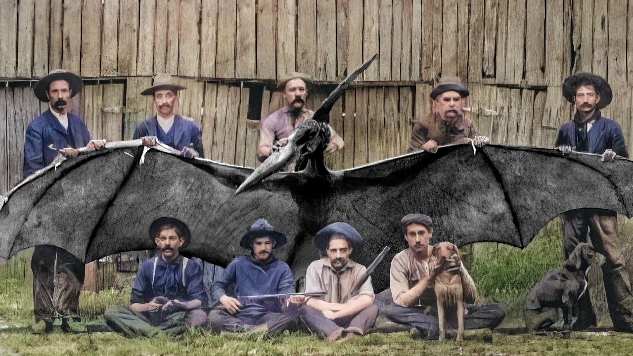 Animais Extintos Que Foram Capturados Por Câmeras