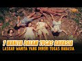 7 WANITA DALAM TUGAS RAHASIA 1983 FULL MOVIE HD