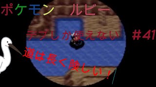 ポケモン　ルビー　デブしか使えない㊶