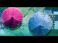 One Piece New Ending Song 4K 60fbs Smooth For Edit Episode 1071 New Outdro True Peace