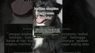 Download lagu larangan menghina dgn nama binatang#islam #shorts mp3 Download lagu larangan menghina dgn nama binatang#islam #shorts mp3