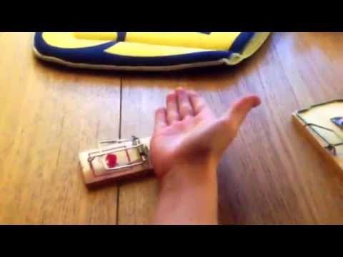 Tim sätter handen i en mus fälla (utan handske)