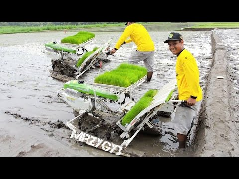download lagu mp3 mp4 Rice Planting Machine For Sale Philippines, download lagu Rice Planting Machine For Sale Philippines gratis, unduh video klip Rice Planting Machine For Sale Philippines
