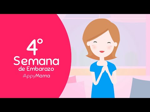 Semana 4 de #Embarazo | Estoy embarazada