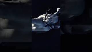 02 - dimension