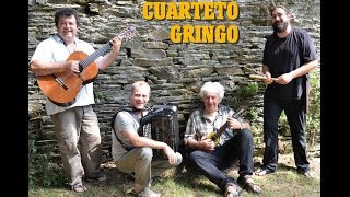 CUARTETO GRINGO / SAPINO ..Album 