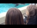 Elmo Kids First Peek At Killer Whales SD Trip 2015