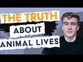 Humans And Animals Share More Than We Think Macken Murphy Interview