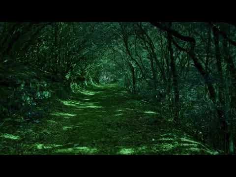 God Has Not Forgotten You: A Prayer For You 