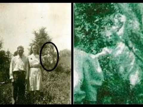 VIDEO! Ţi se facă părul măciucă! Paparazzi de... FANTOME