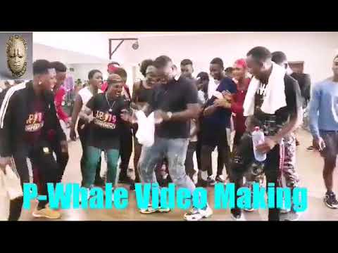 Teni,P-Whale,Dr Dolor & Hotkid Video Shoot