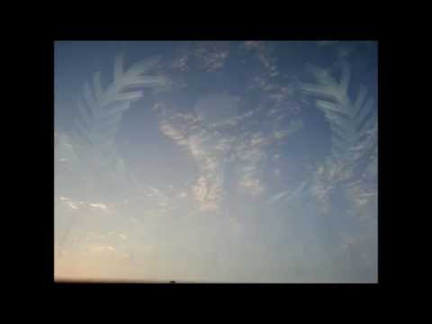 Electro Dance Mix Dj Steve Vol 2