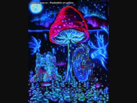 In Your Phaze - LYP Theme