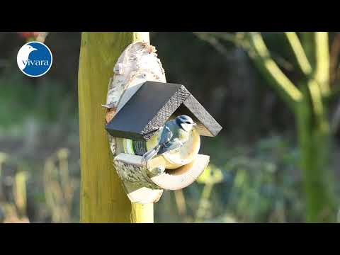 Vivara Erdnussbutterglas-Halter „Elverum“ (93596) mit Gartenvögel-Erdnussbutter mit Insekten (10178)