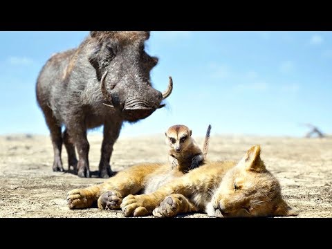 КОРОЛЬ ЛЕВ - МЫ НАЗОВЕМ ЕГО ФРЕД — Русский тизер (2019)