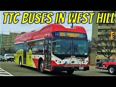 TTC Buses in West Hill (March 2021)