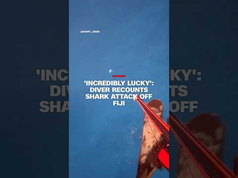 'Incredibly lucky': diver recounts shark attack off Fiji