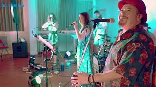 Go Your Own Way — Live