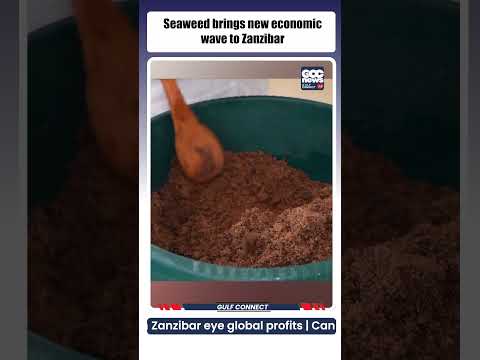 Zanzibar’s Seaweed Farming Boom: Women Leading the Blue Economy | 2025 Industry Insight