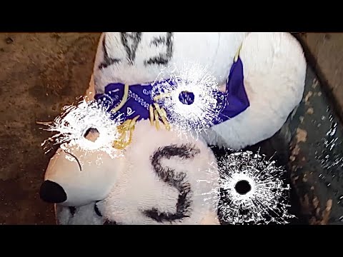 Donaé Lee ft. Traffic - Trevor Hurd Halloween 🎃(Trailer) #figgside