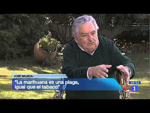 José Mujica | Regularización del Cannabis