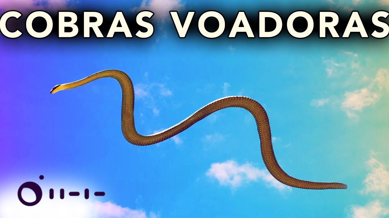 como COBRAS VOAM?