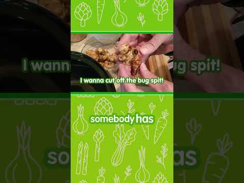 Montana January Harvest: Backyard Food Pump in Action