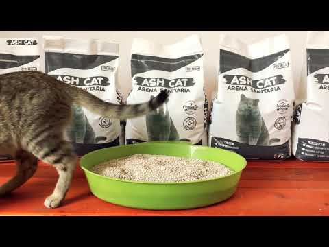 ASH CAT ARENA SANITARIA PARA GATOS ULTRA AGLOMERANTE