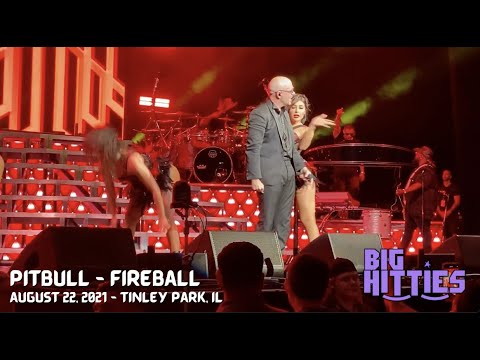 Pitbull "Fireball" in Tinley Park, IL, on August 22, 2021