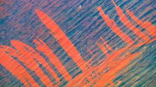 Fred McDowell -- Got A Letter This Morning